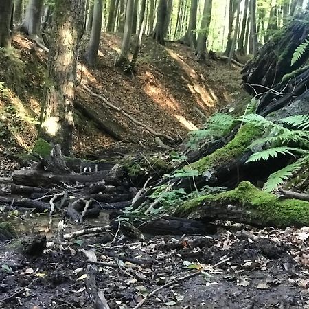 Homelig Altstadt Ferienwohnungen Sassnitz Fewo 4 外观 照片